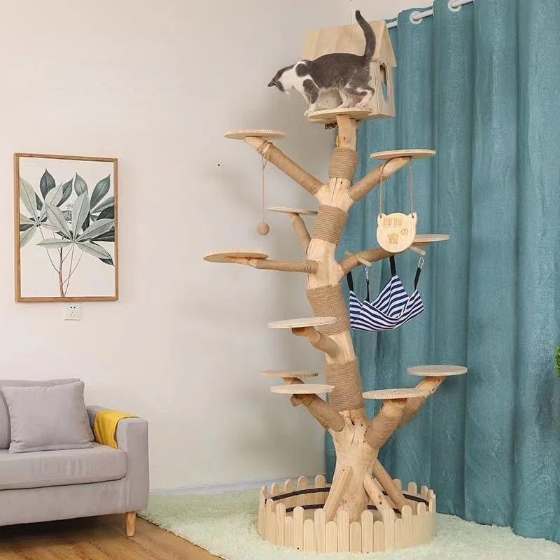 Tour d'Éveil Intérieur pour Chat