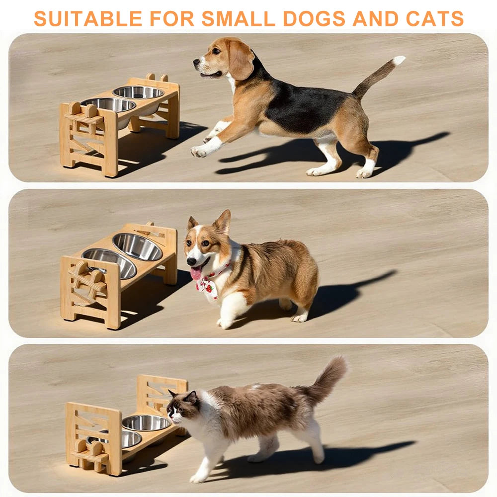 Bols Surélevés Réglables pour Chien et Chat