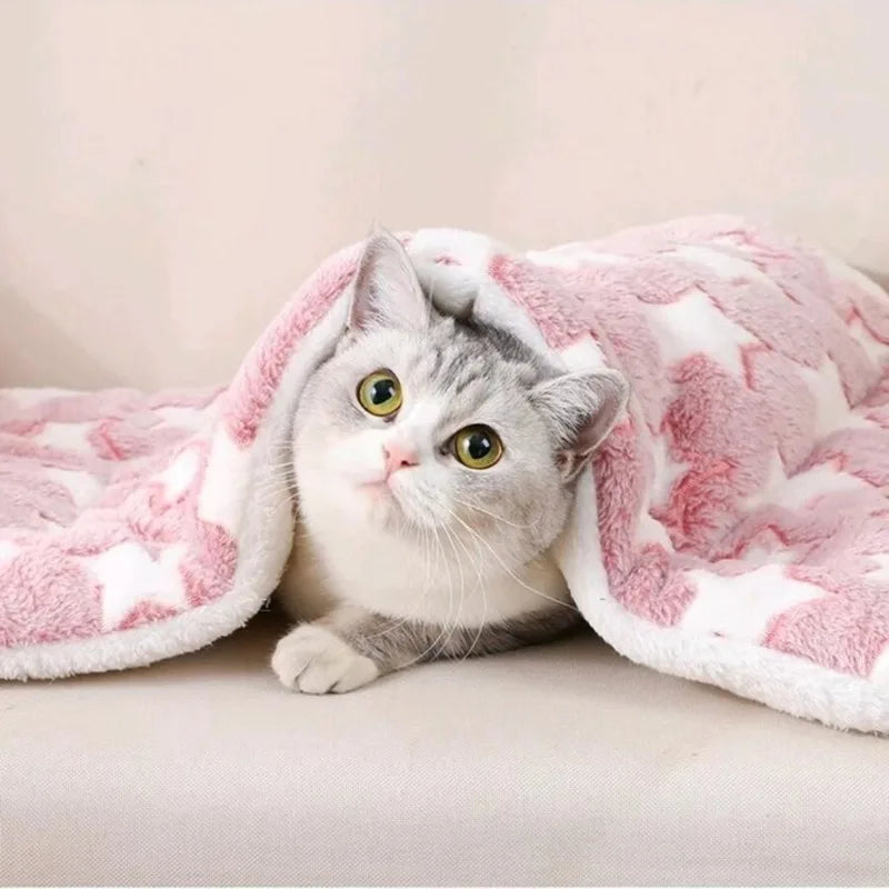 Coussin Nid Douillet Premium pour Chat
