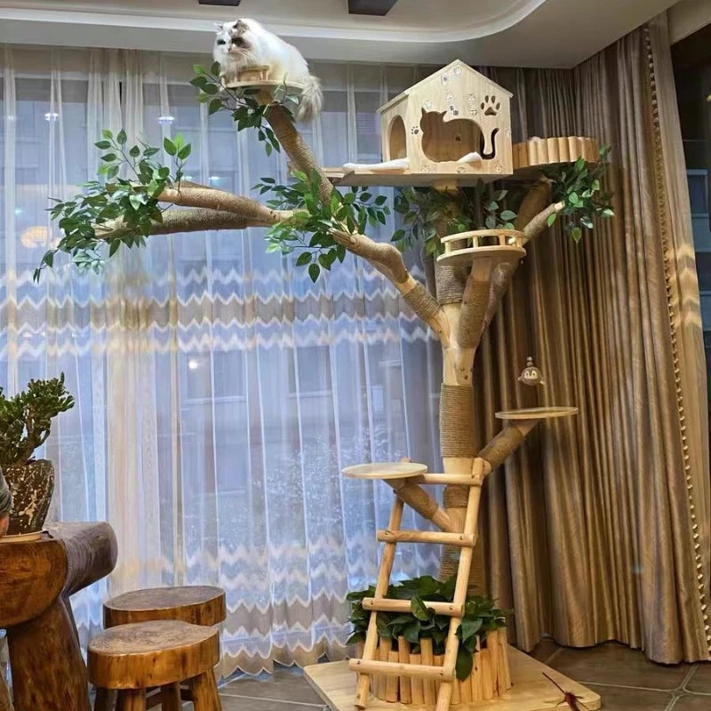 Tour d'Éveil Intérieur pour Chat
