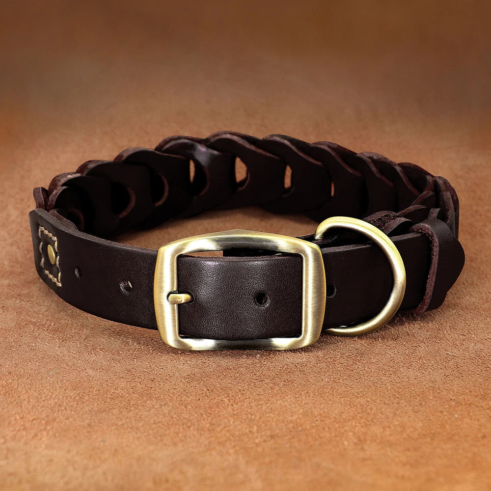 Collier Cuir Véritable Premium pour Grand Chien