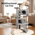 Tour Multi-Niveaux Prestige pour Chat