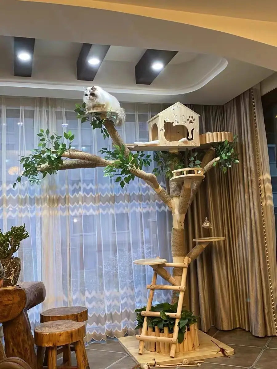 Tour d'Éveil Intérieur pour Chat