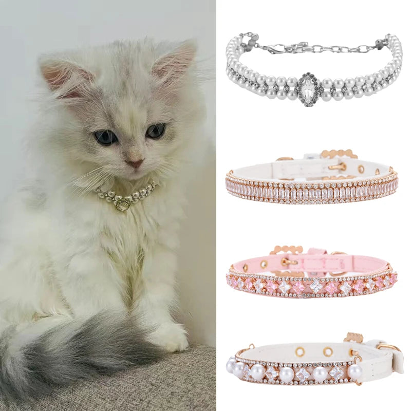 Collier Perles Luxe pour Chat