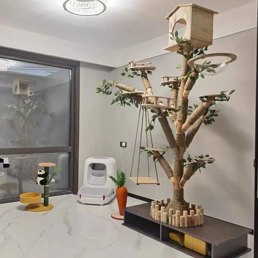 Tour d'Éveil Intérieur pour Chat