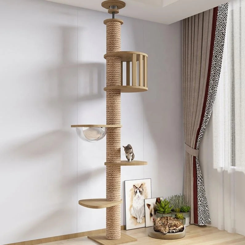 Arbre à Chat Moderne Plafond
