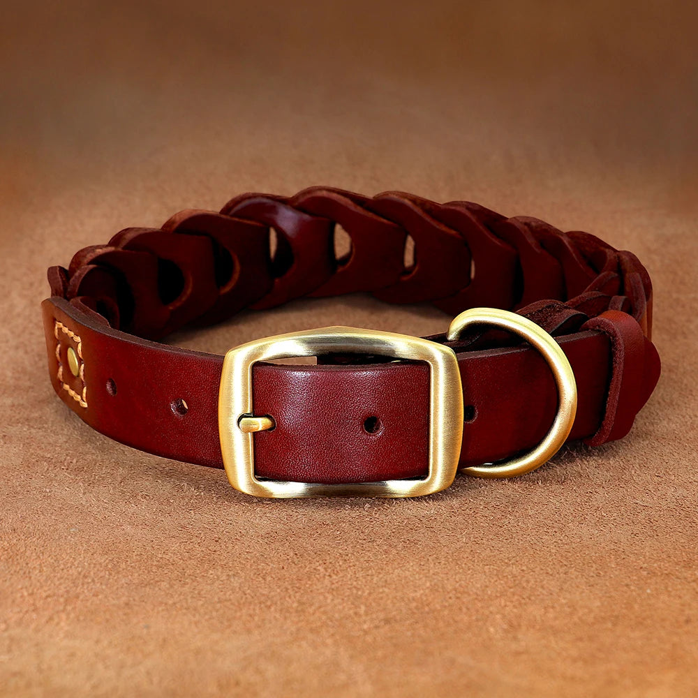 Collier Cuir Véritable Premium pour Grand Chien