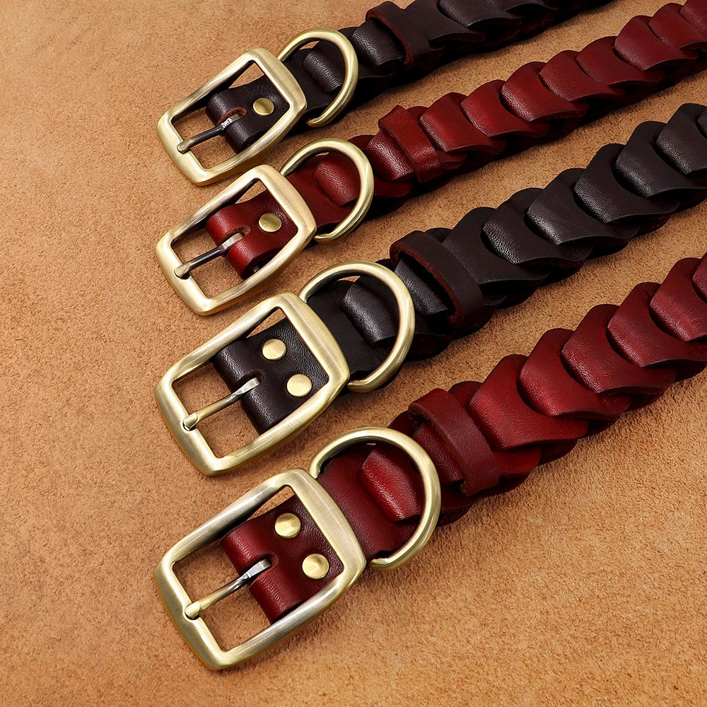 Collier Cuir Véritable Premium pour Grand Chien
